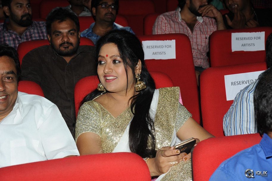 Srimanthudu-Movie-Thank-You-Function